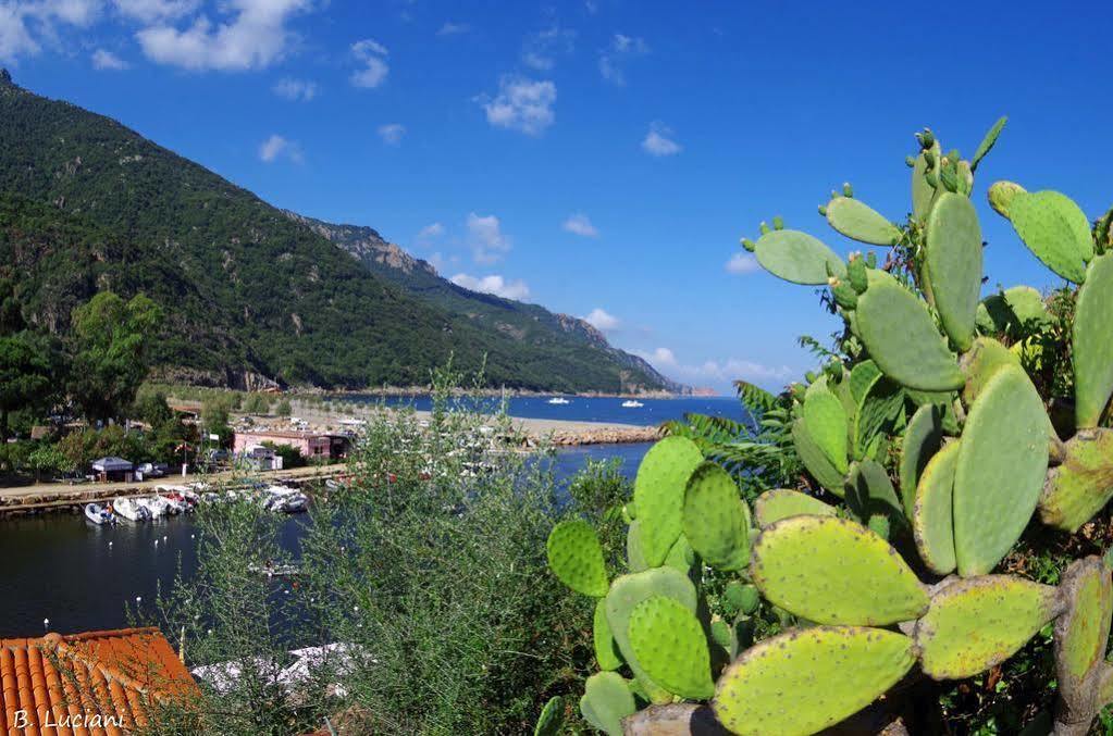 Le Mediterranee Porto (Corsica) Exterior foto